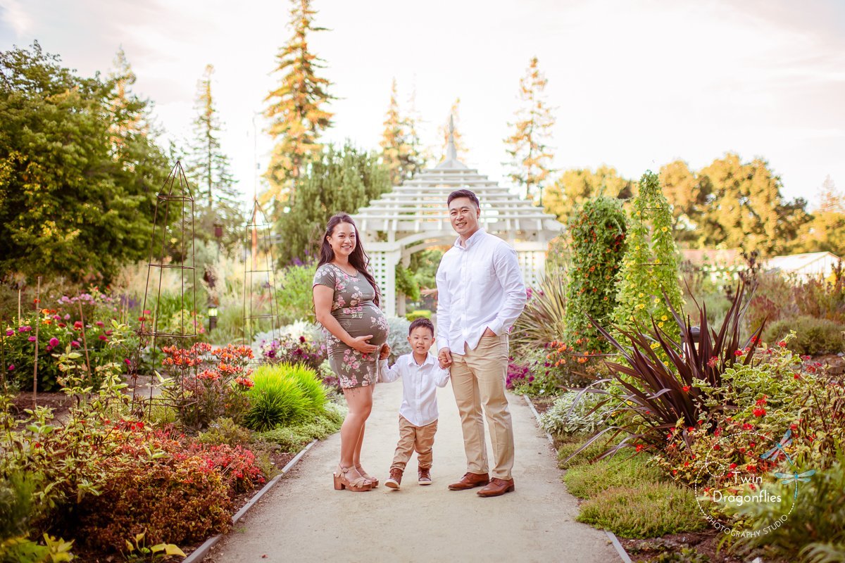 maternity+session,+san+jose-8.jpg