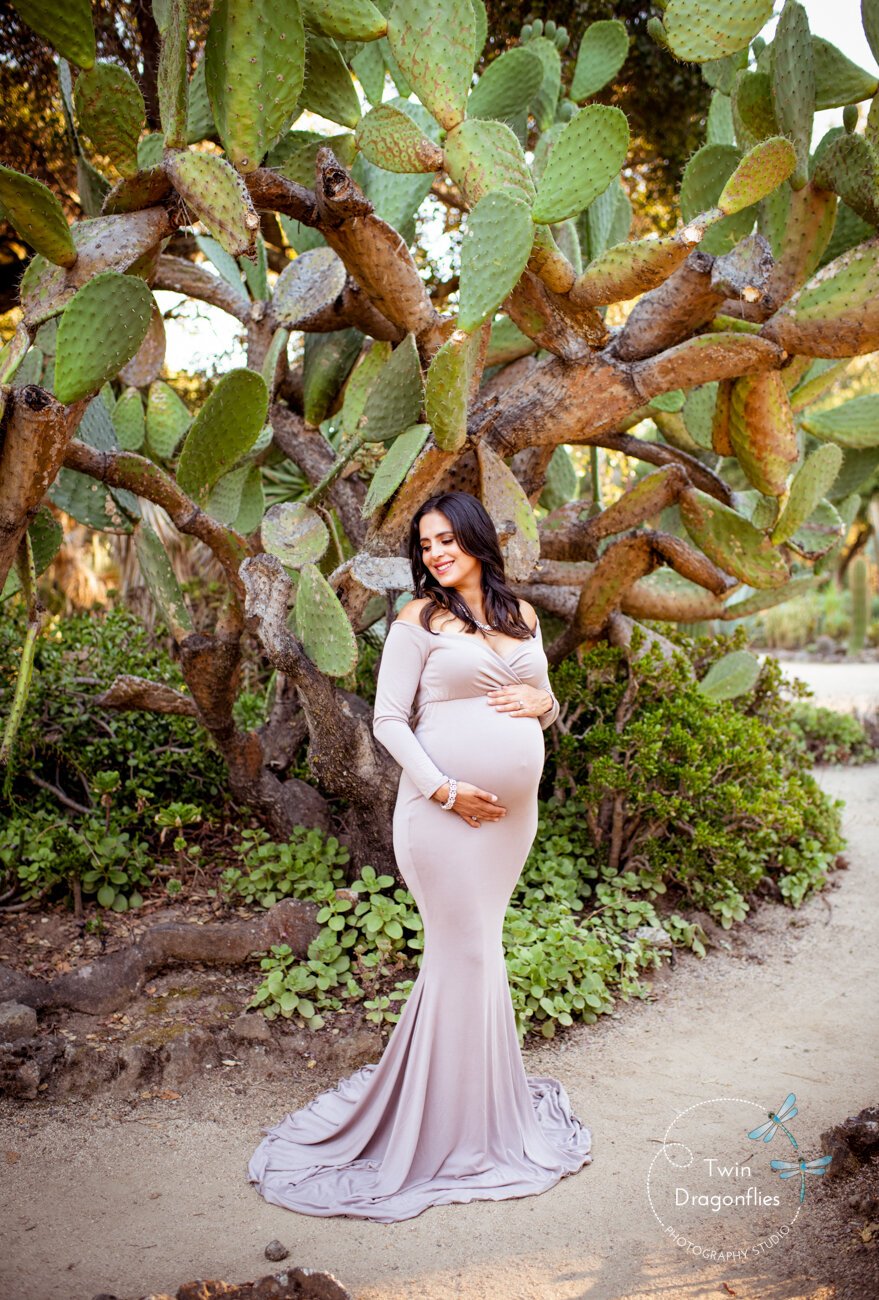 maternity-+pregnancy-+photography-103.jpg