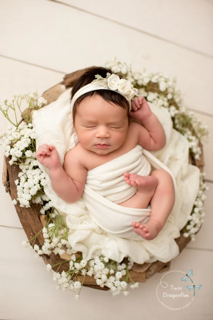 Palo Alto, CA Newborn, Maternity, Family Photographer Twin