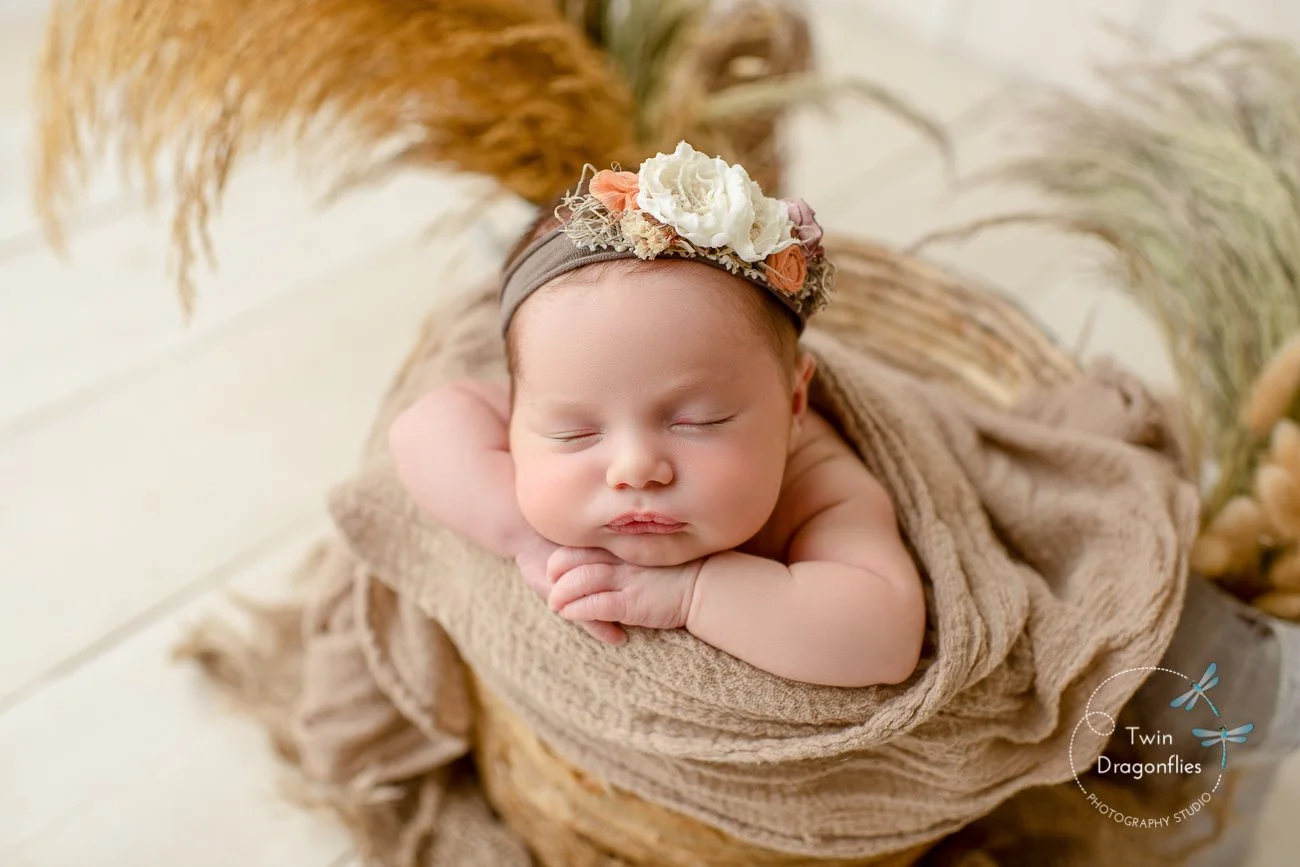 san jose newborn photographer, bay area newborn photography