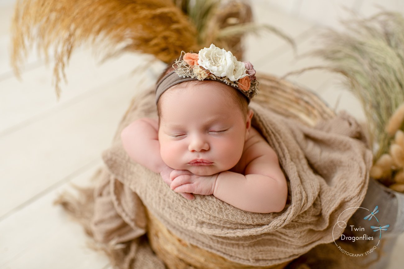 newborn photography, san jose, bay area-16.jpg