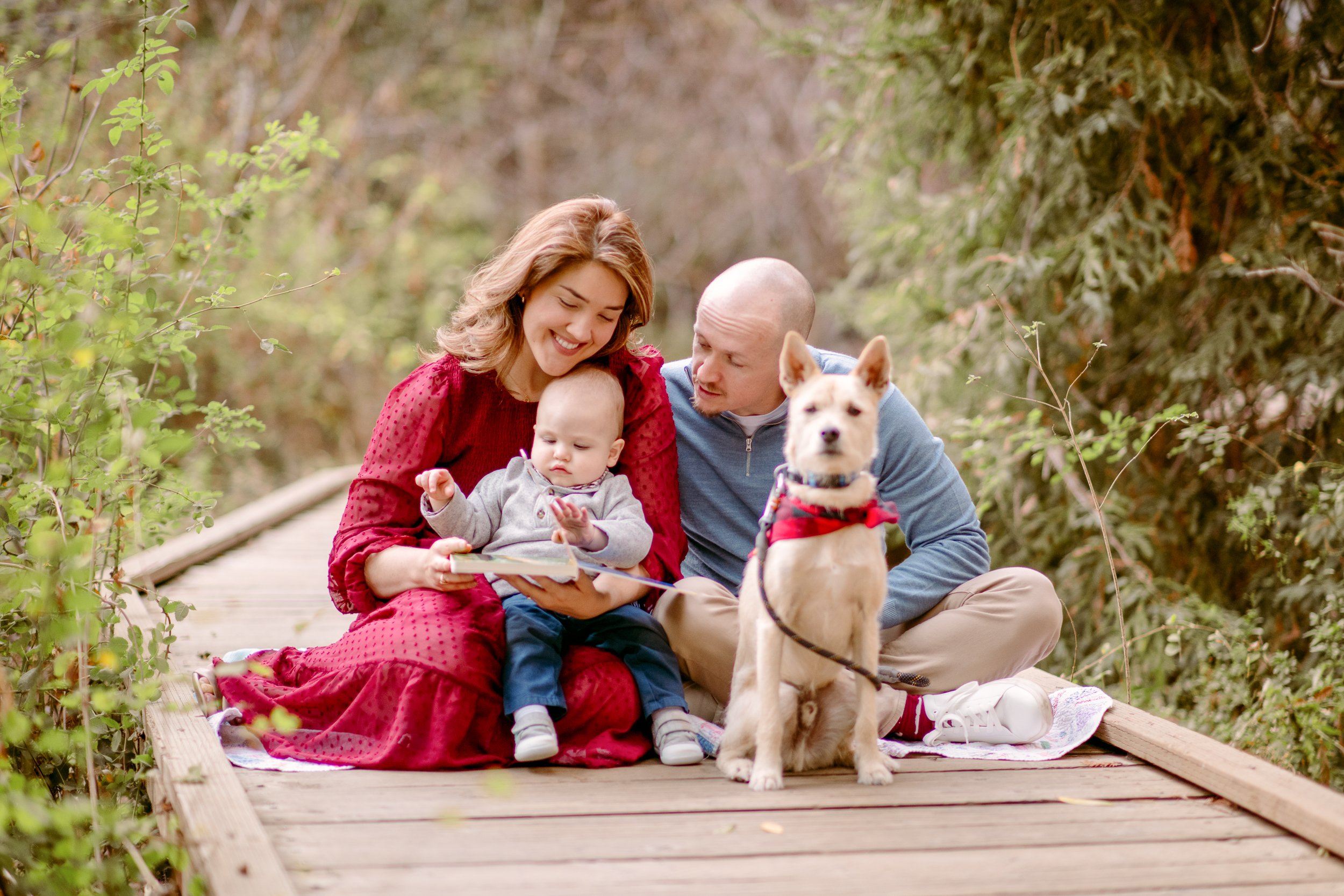 bay area family photographers. A family of four enjoying the family photo shoot in Los Altos.