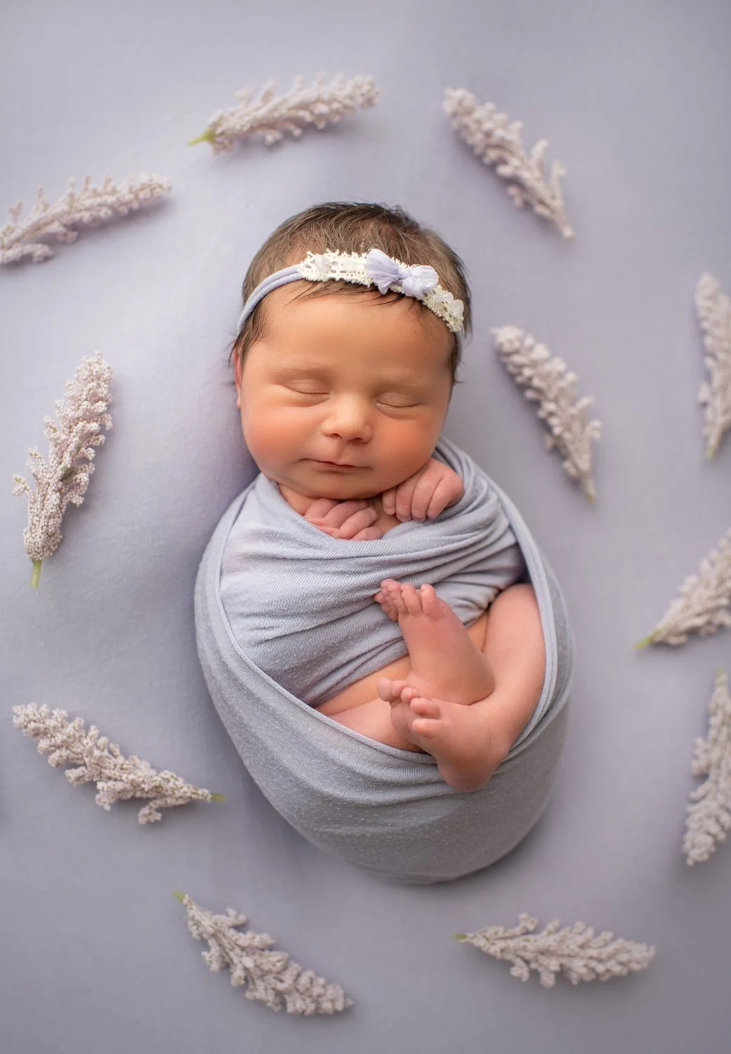 bay area newborn photography