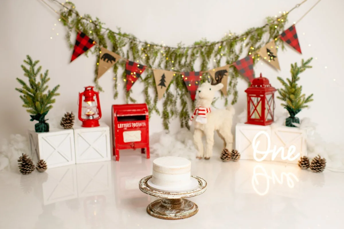 san-jose-cake-smash-photographers-5.jpg