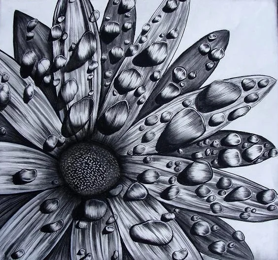 flower.jpg