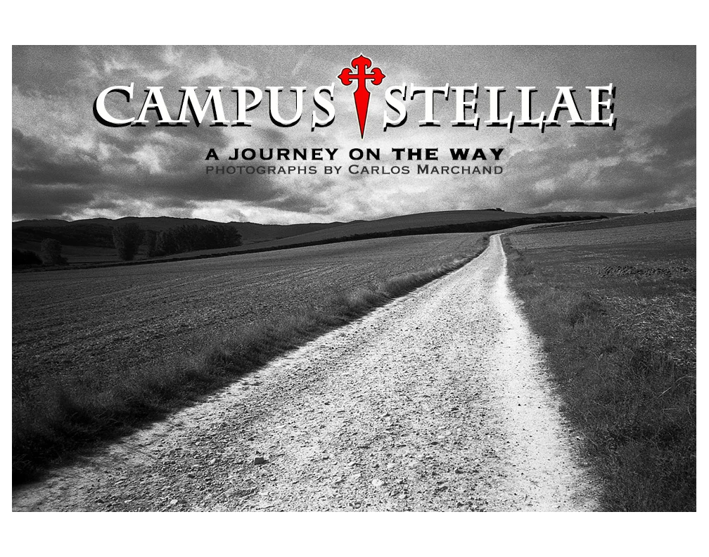 CAMPUS STELLAE Exhibit