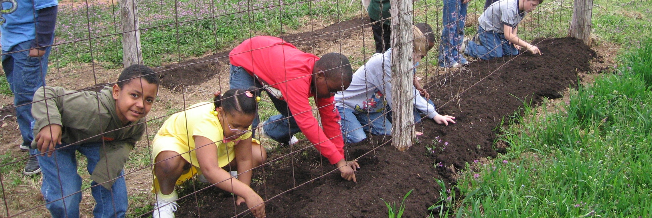 Dunbar Garden Plant Ideas. Grow Minds.