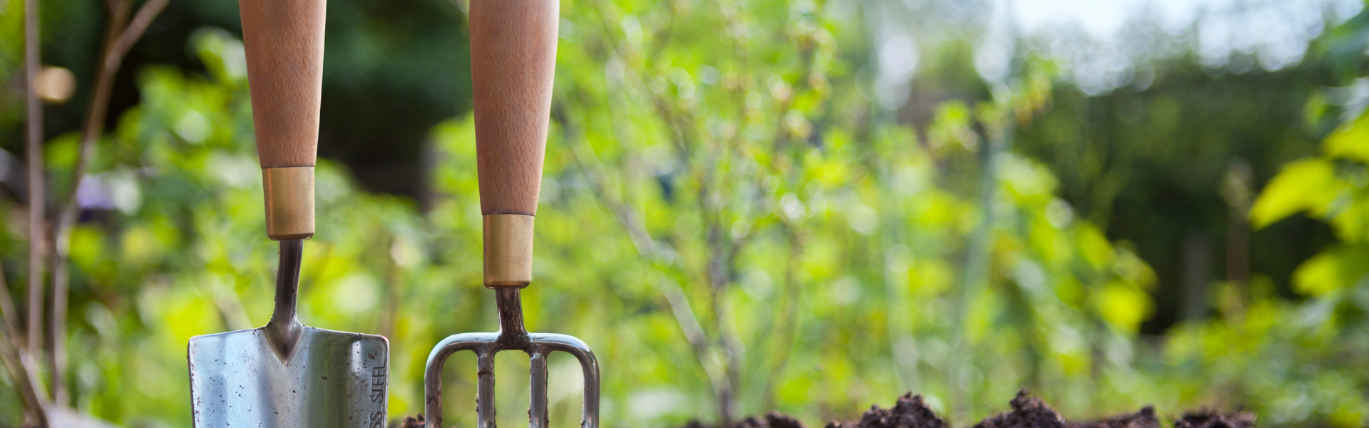 Untitled design-13.png