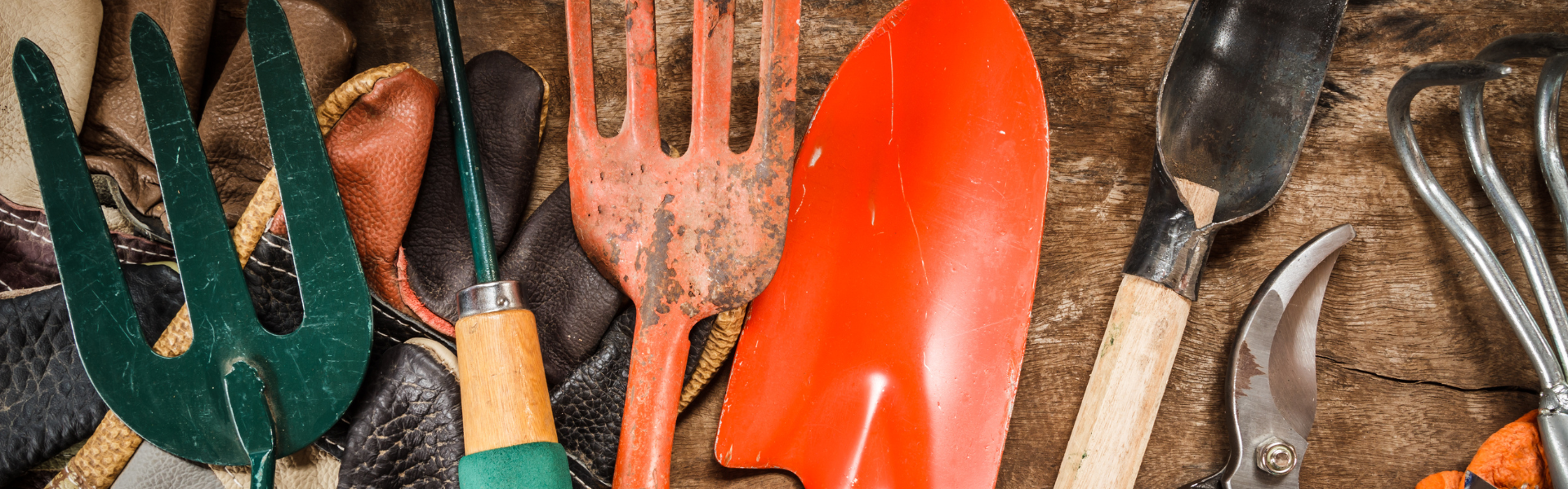 Untitled design-14.png