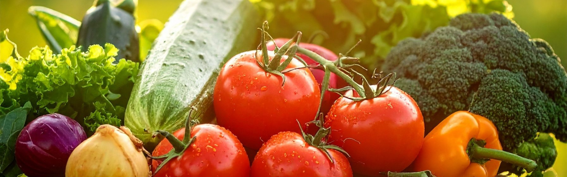 Untitled design-10.png