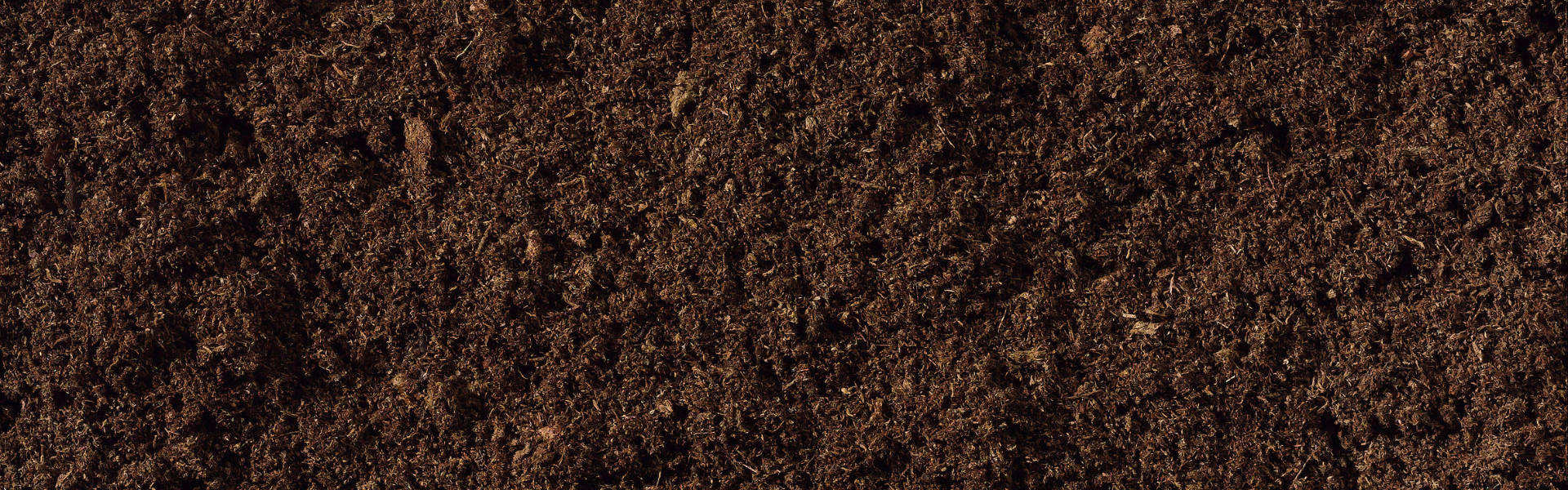 Untitled design-9.png