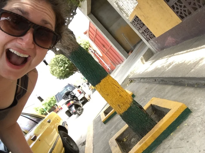 Green & Gold trees!