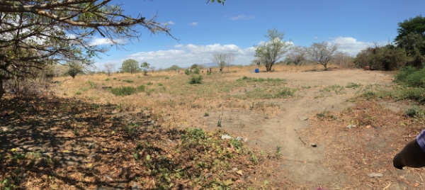 The new property - you can see the volcano, Momotombo, in the background!