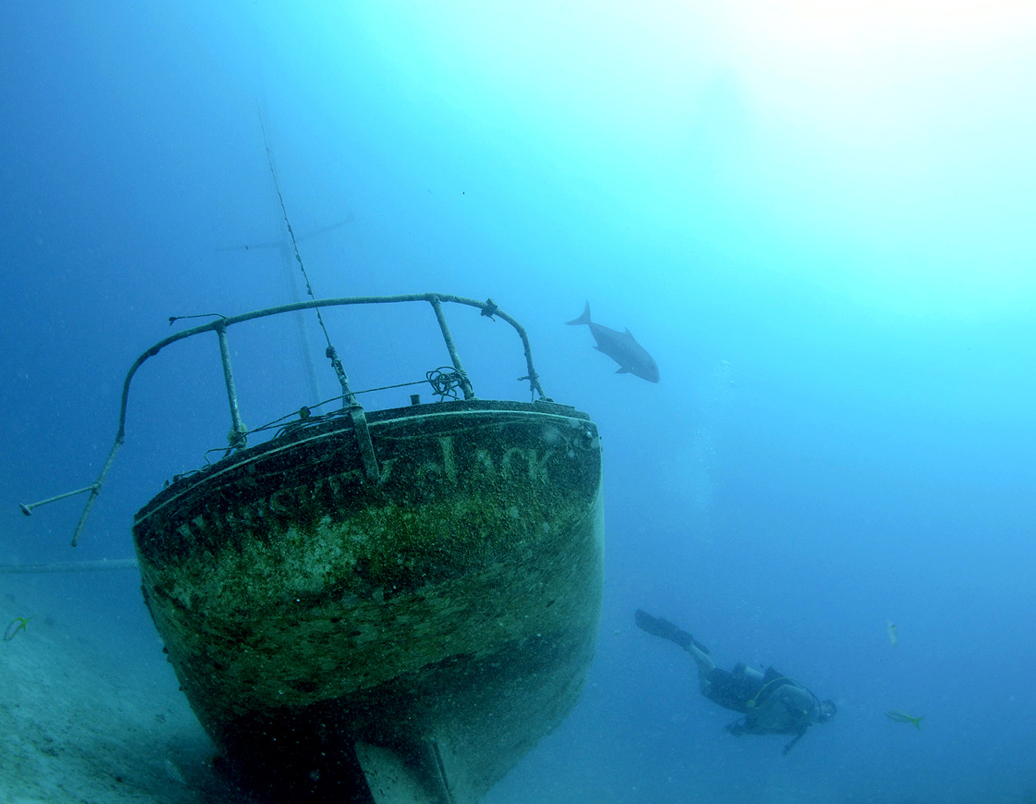 2015_DIVE_02.jpg