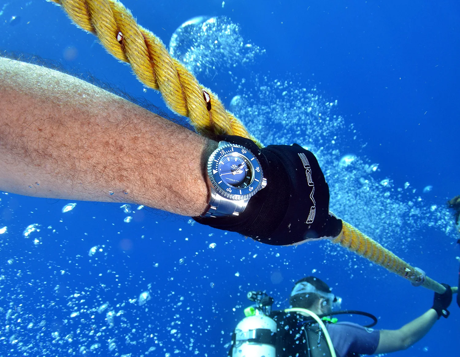 2015_DIVE_01.jpg