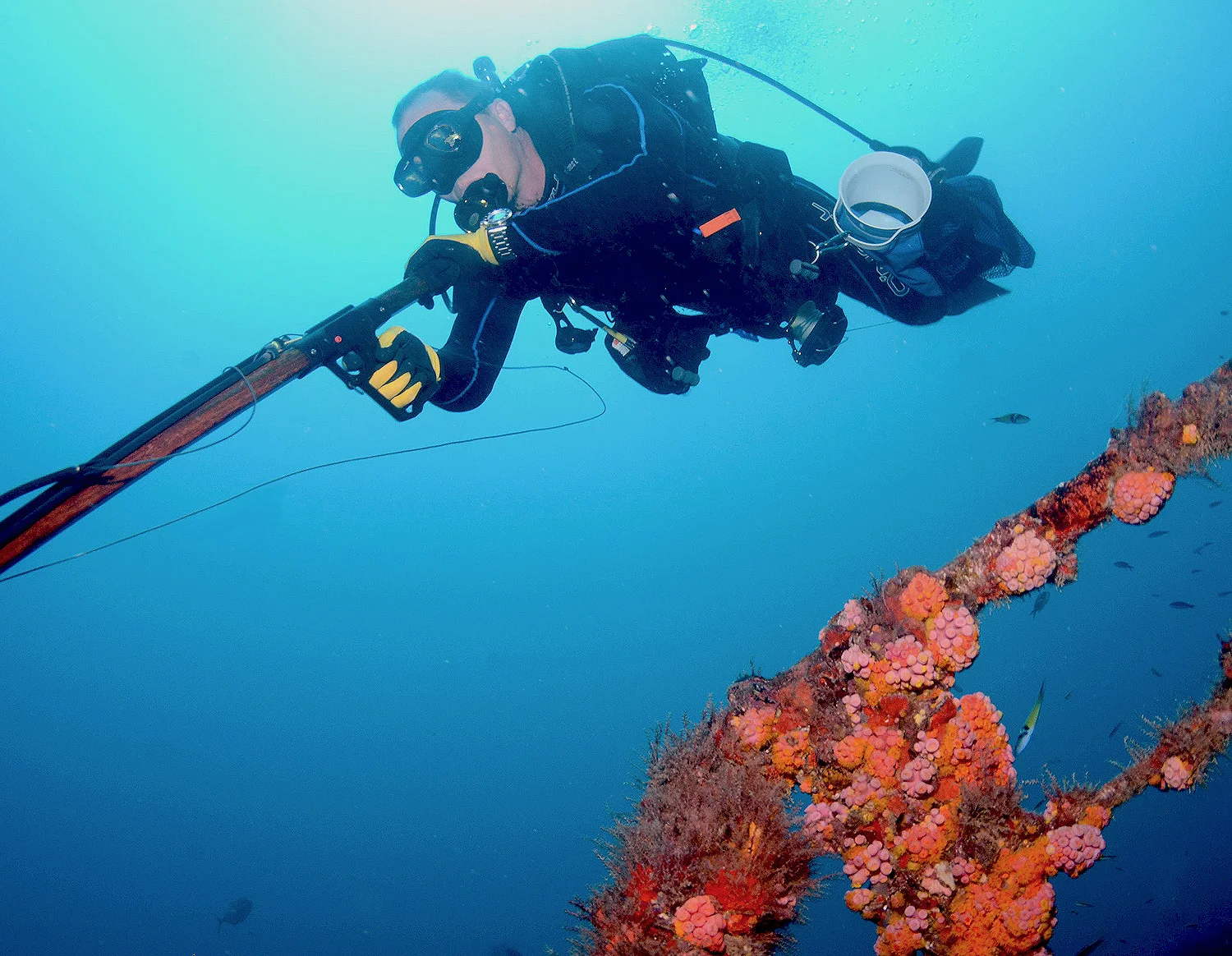 2015_DIVE_04.jpg