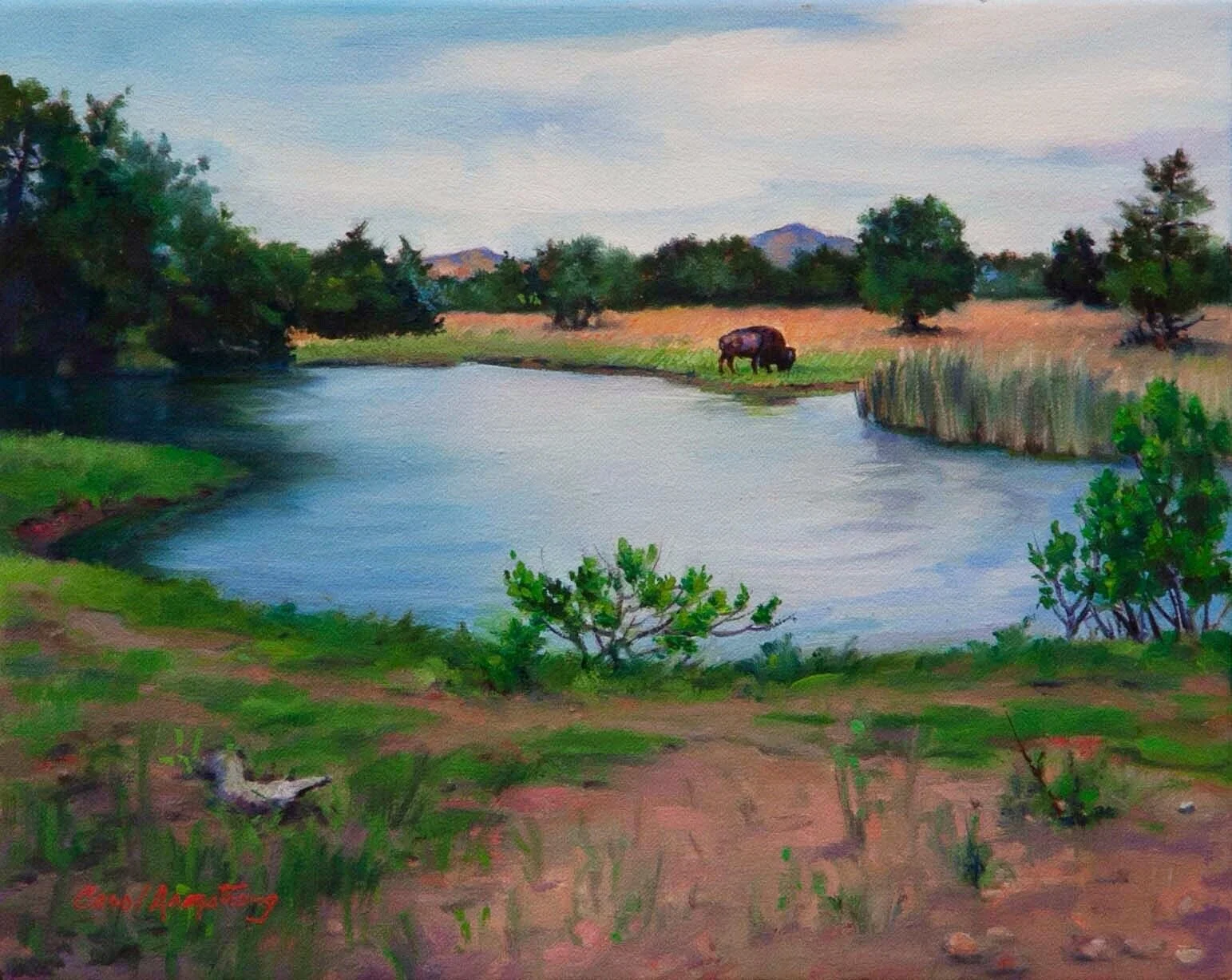 That Day at the Wichita Mountains