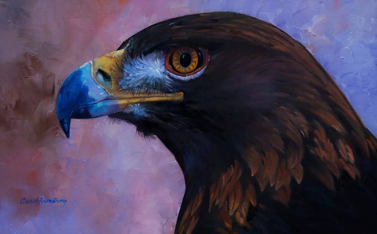 Golden Eagle