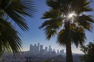 Current Market Conditions