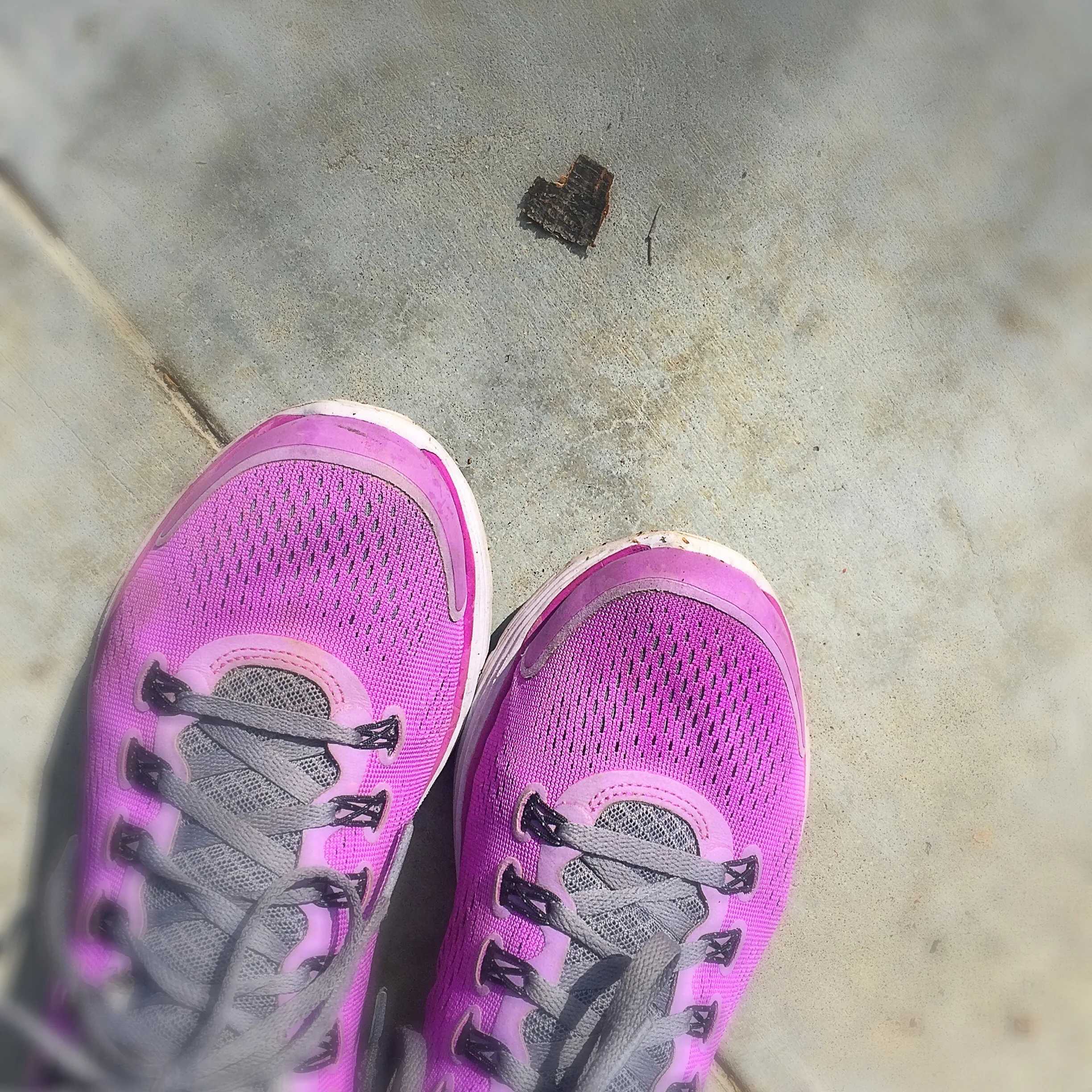 A piece of bark can open your heart.
