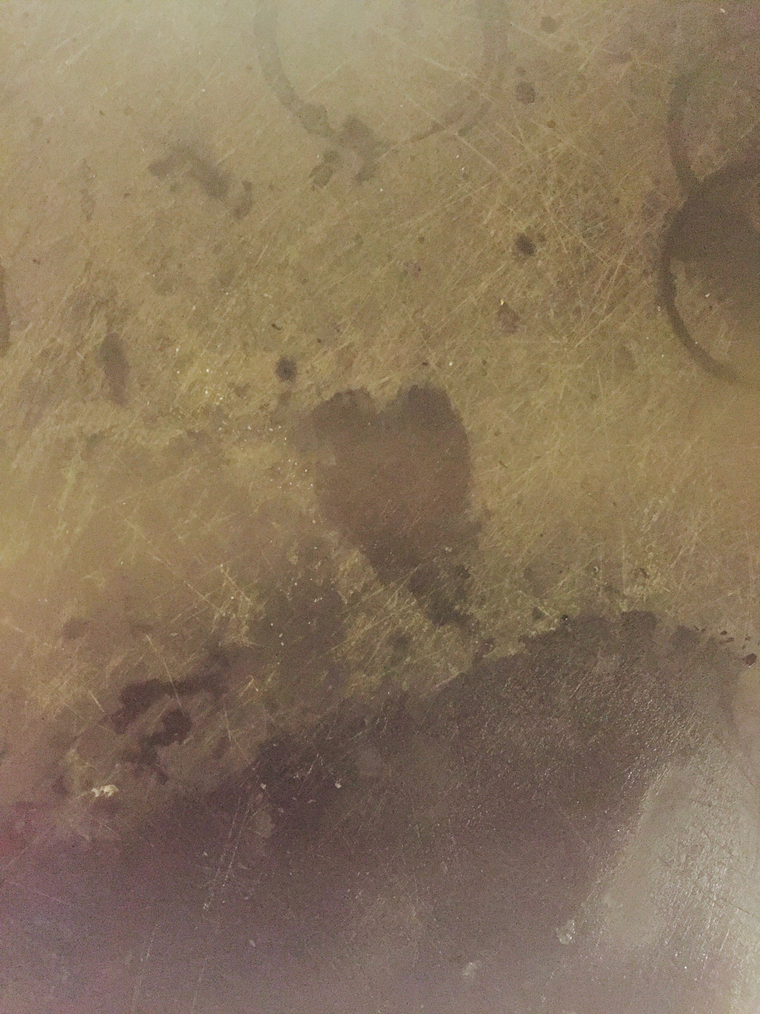 I saw this on my cutting board while cleaning up after dinner.