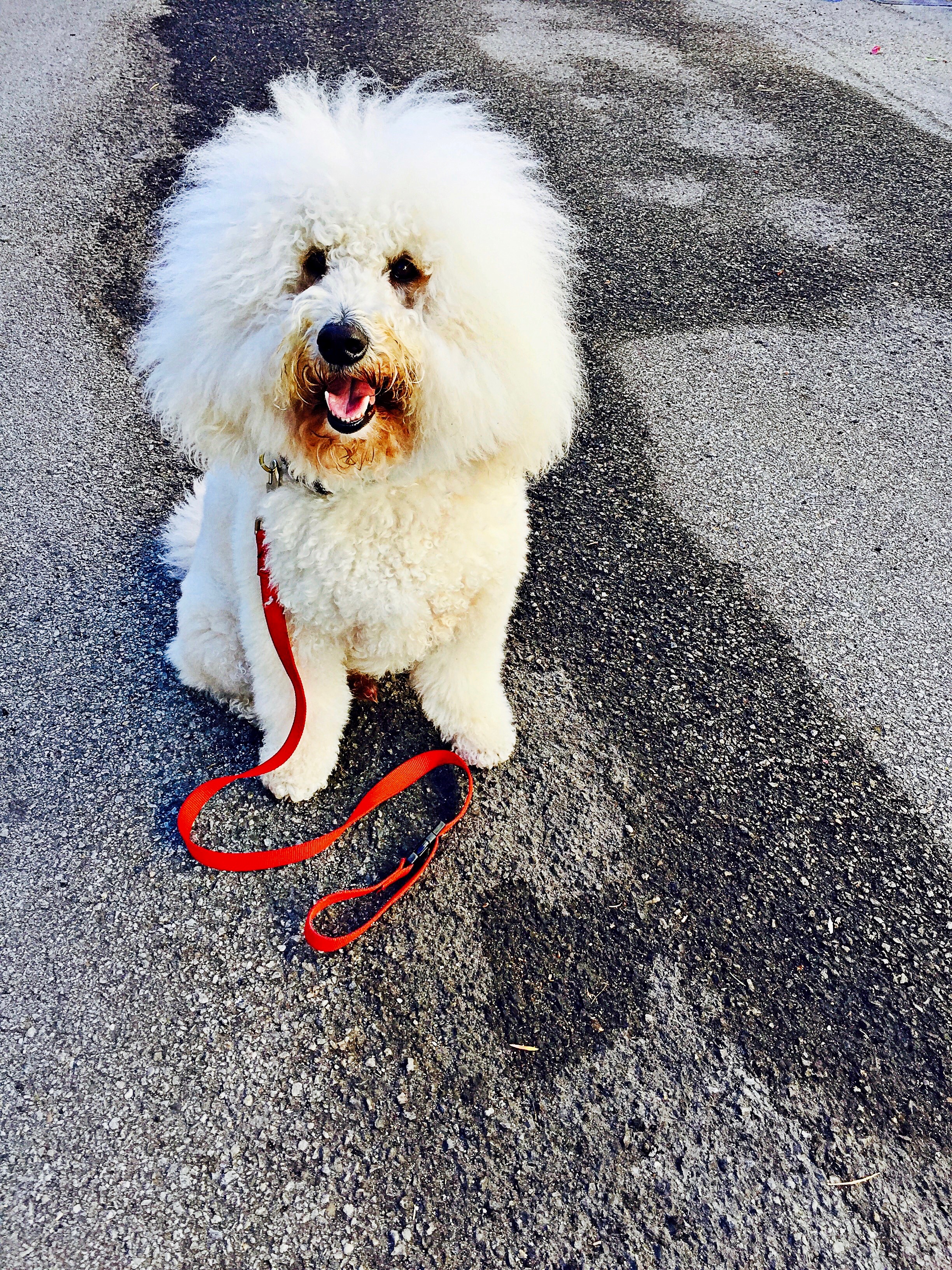 When you walk with this guy, your bound to come across multiple signs.