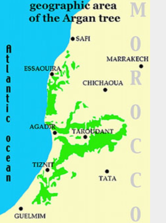 Green represents where Argan Trees grow - It's now a protected tree because of high demand