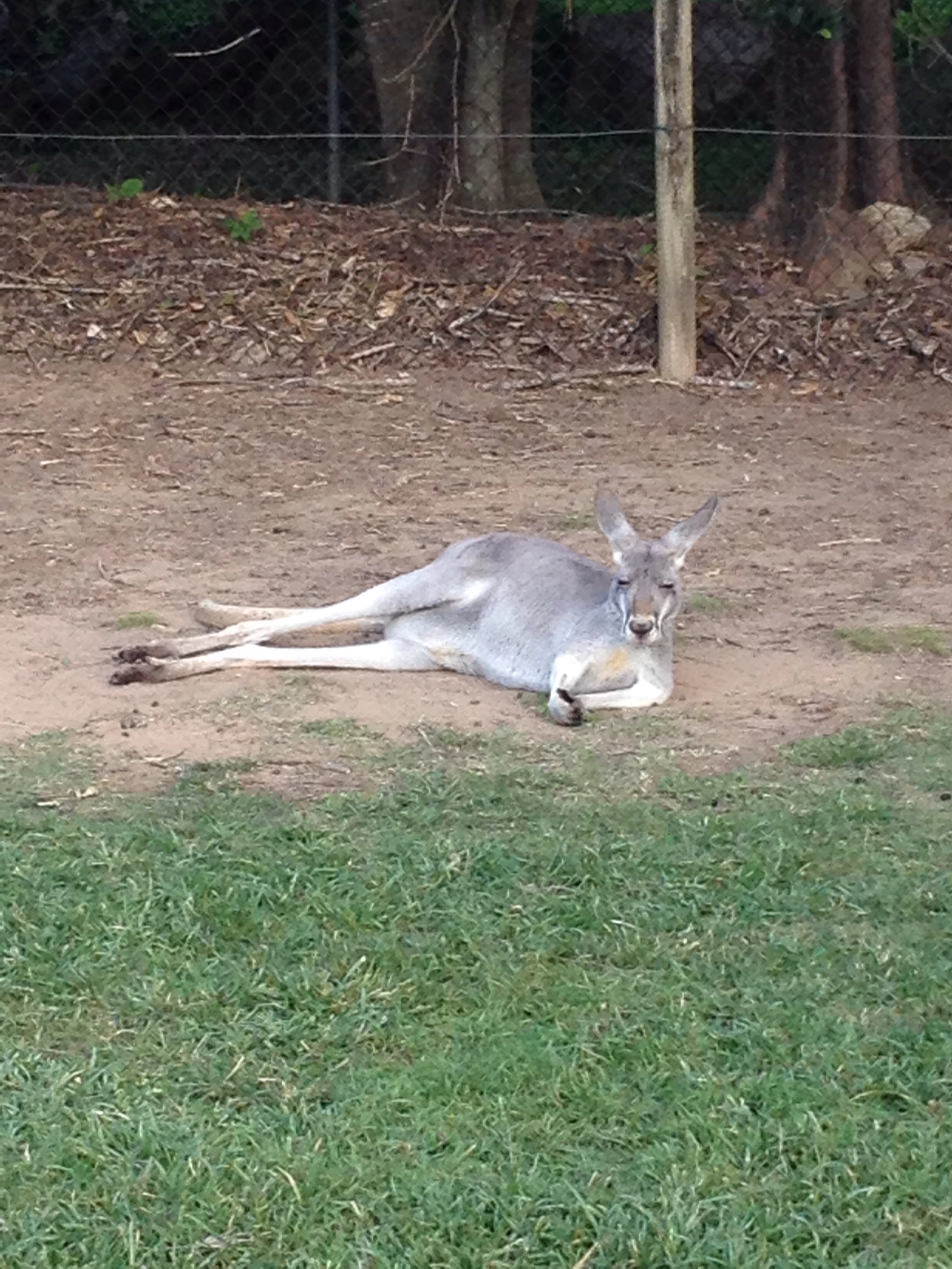 Straight chillin'