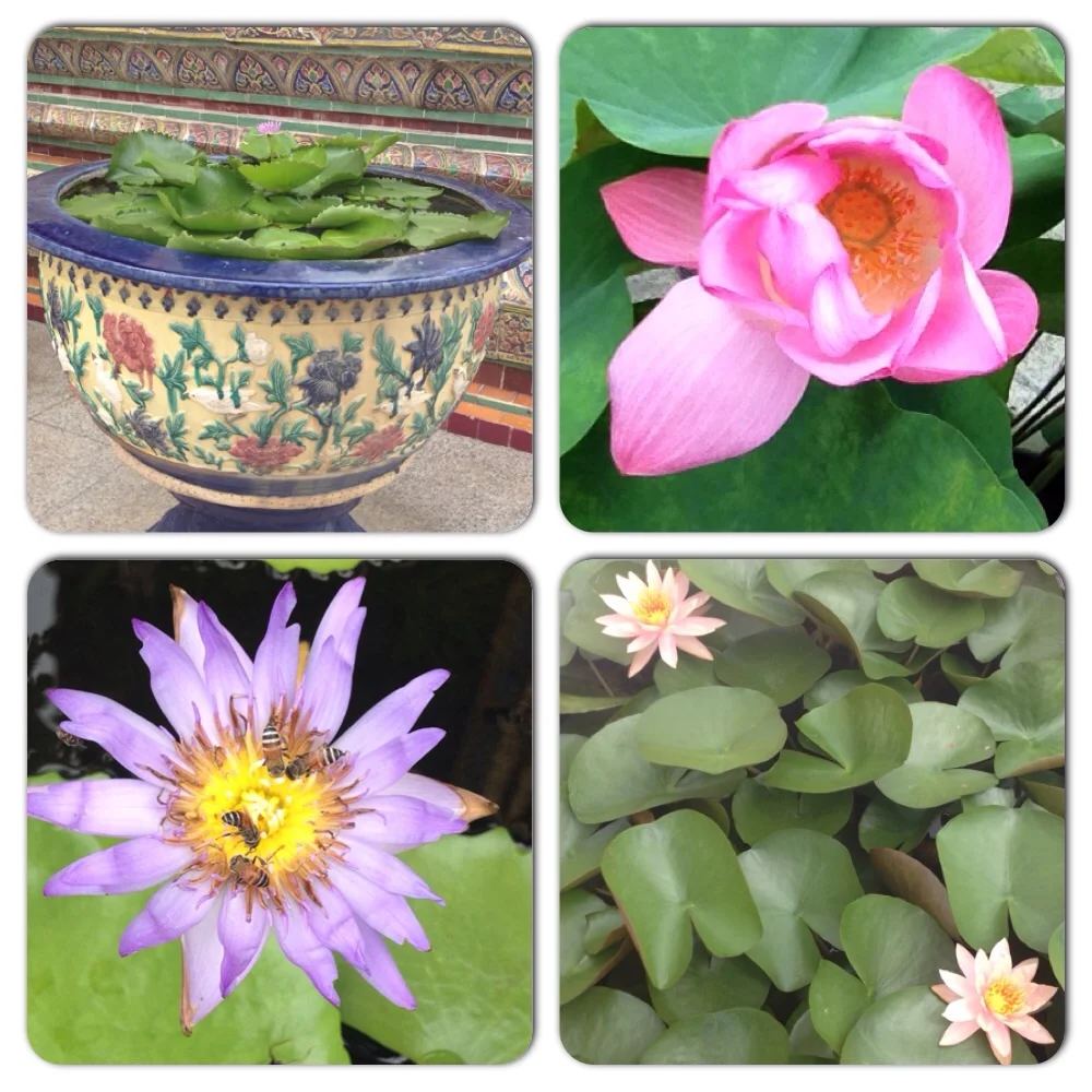 Gorgeous flowers filled with beed