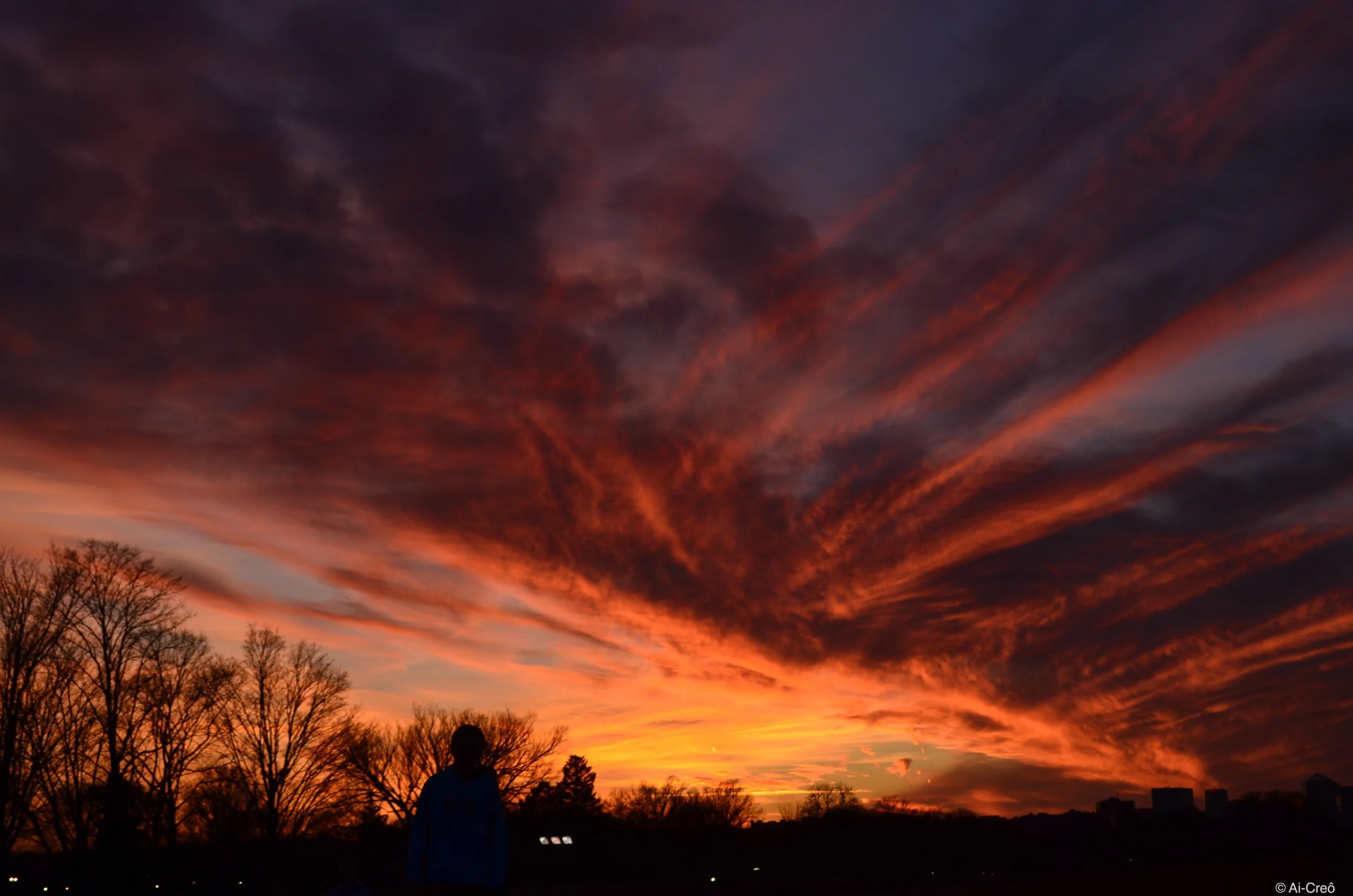 DSC_0245.JPG