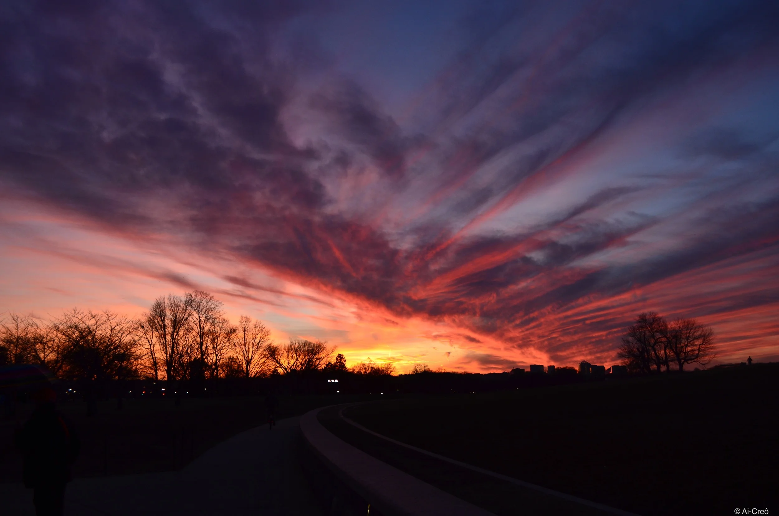 DSC_0249.JPG