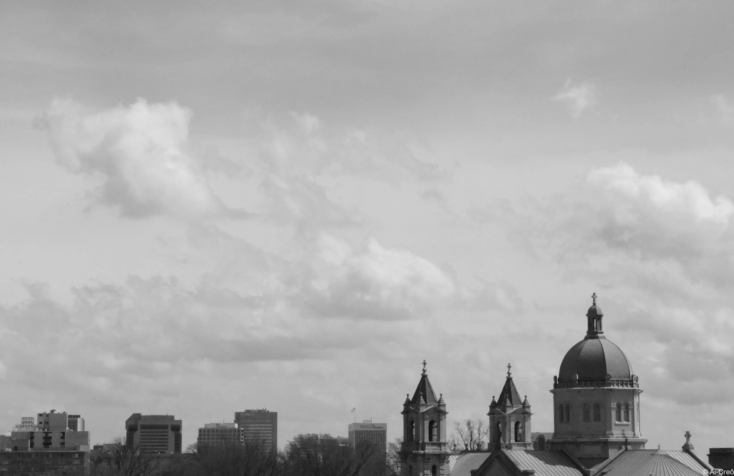 DSC_0565.JPG
