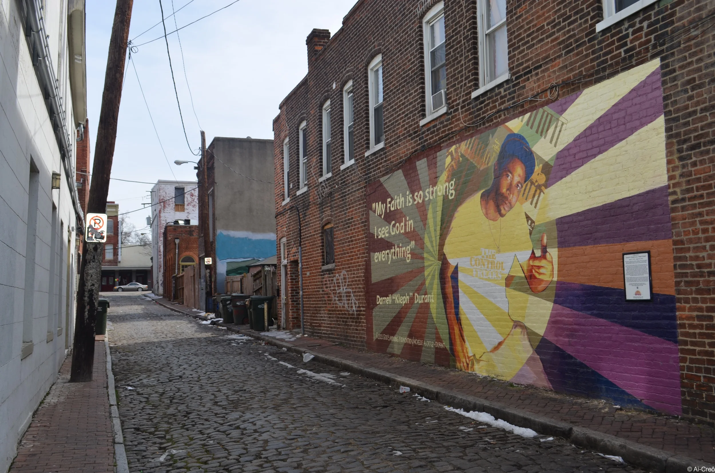 DSC_0479.JPG