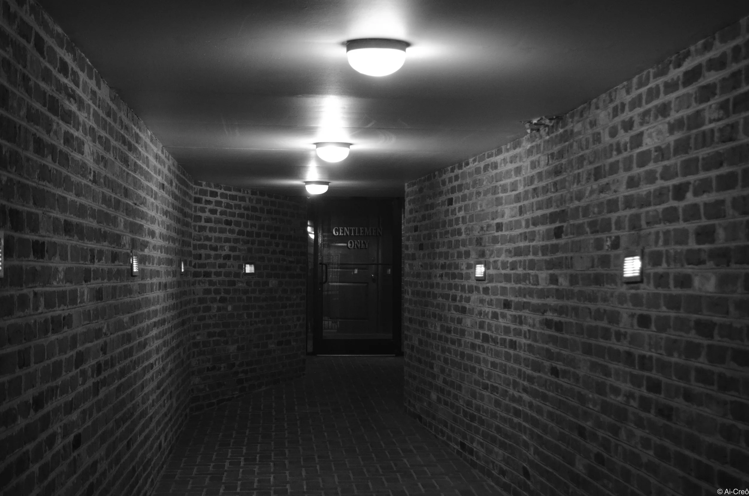 DSC_0683.JPG