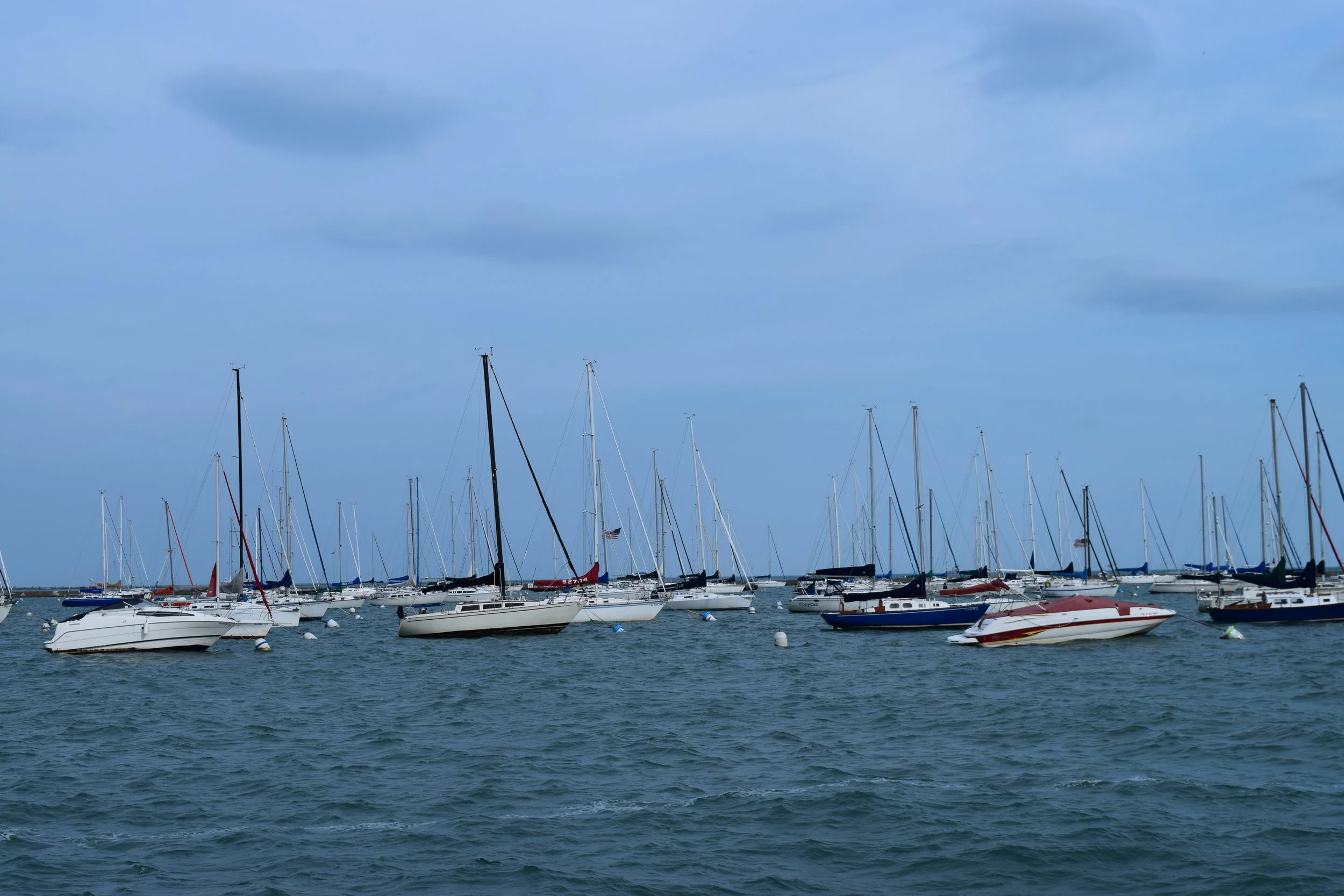 DSC_1290.JPG