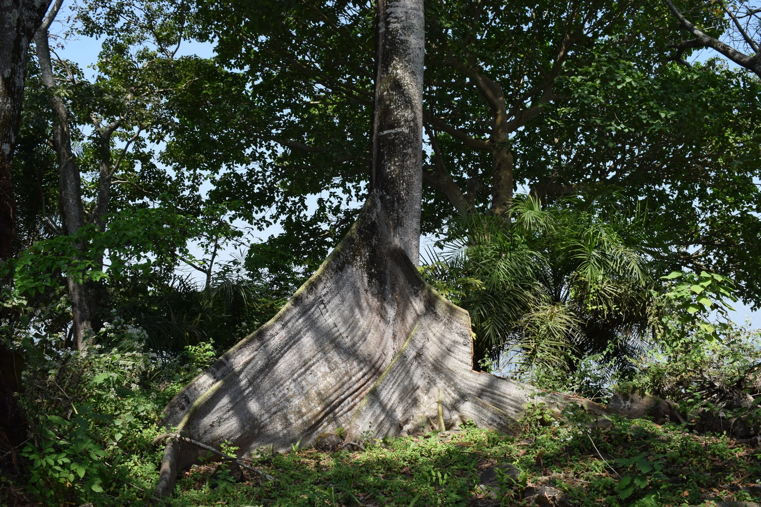 DSC_0348.JPG