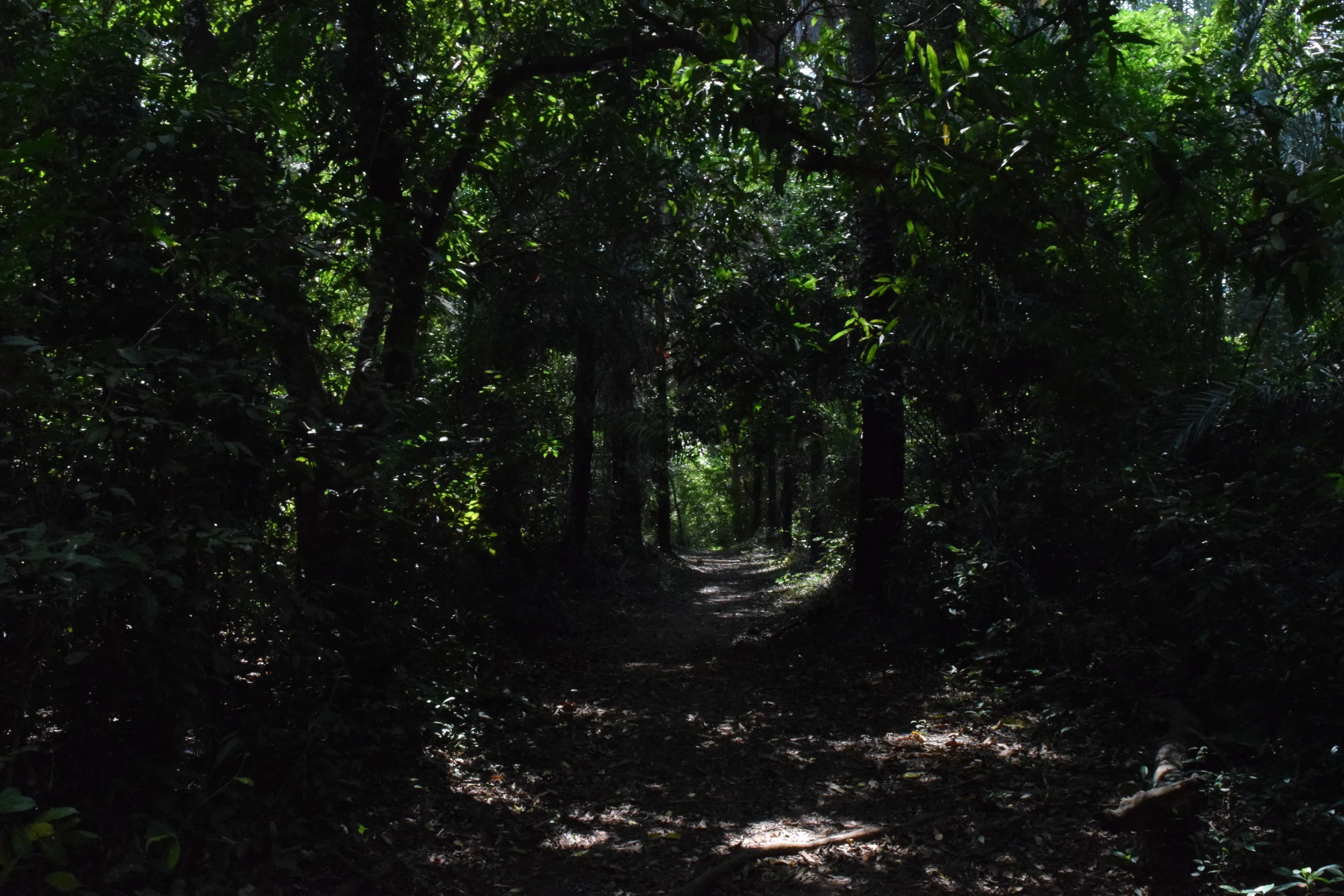 DSC_0395.JPG