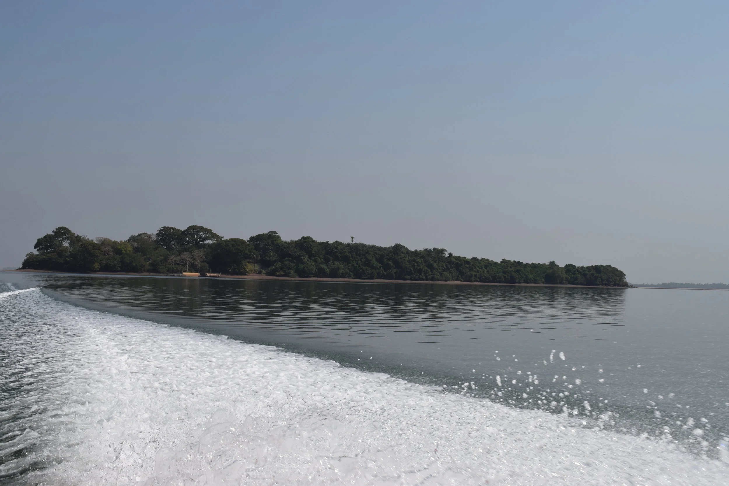 DSC_0431.JPG