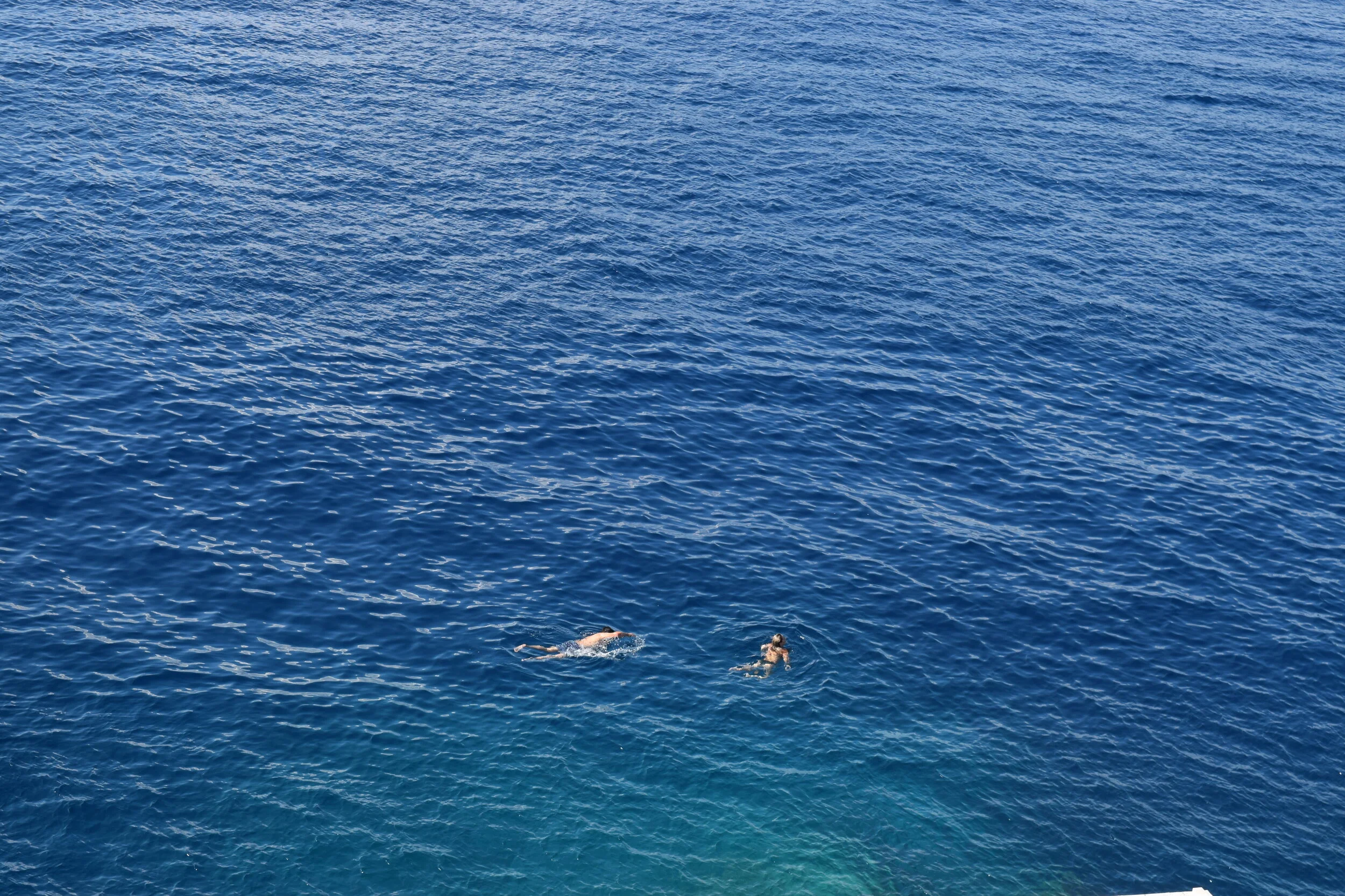 DSC_1892.JPG
