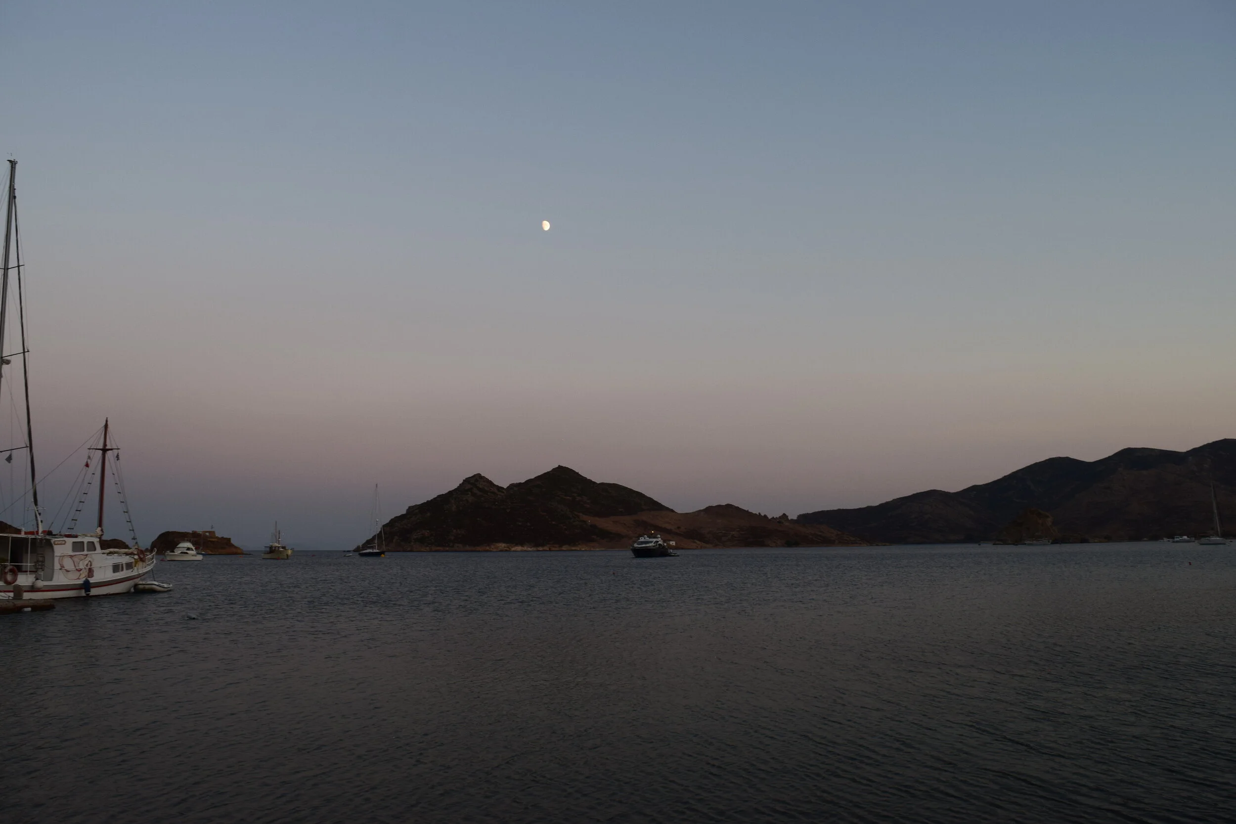 DSC_2445.JPG