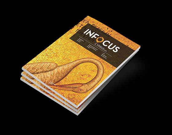 (WIP) New case study coming soon: Investment Guides