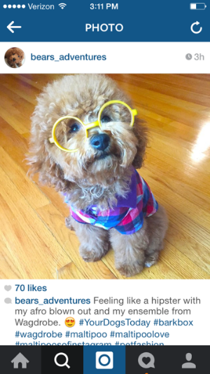 way too sophisticated to answer to “Teddy”