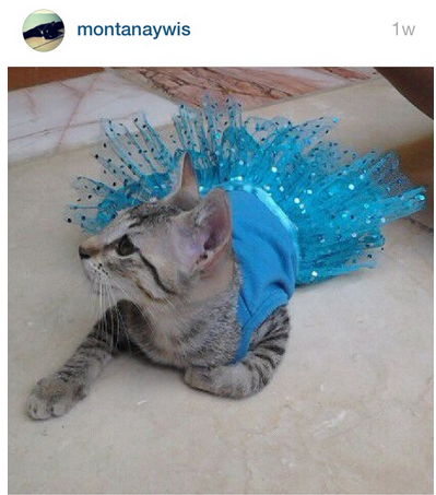 "I call this look BLUE STEEL."