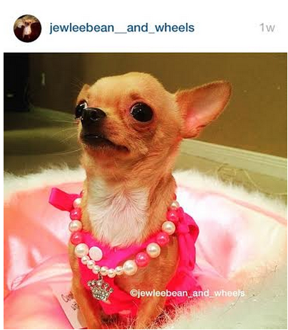 “Treat. Now. Did I stu-u-t-tt-er?”