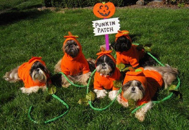 squad goals