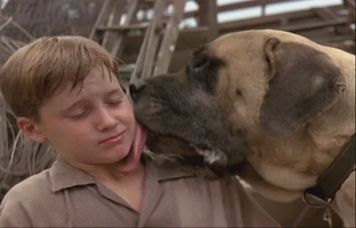 08_sandlot.jpg