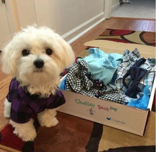 Yep, I will take the box thank you!