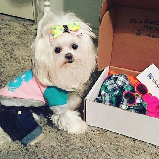 I don't know about you but my heart belongs to this box.