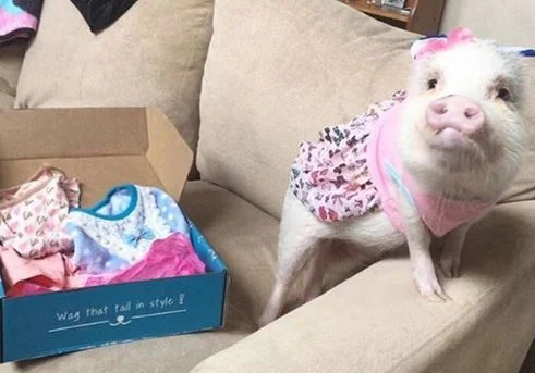 Me and this box, we could be friends.