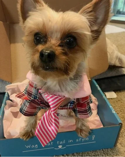 Went in the box naked, came out a Ralph Lauren model!